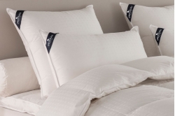 Oreiller rectangulaire PLATINIUM - DROUAULT