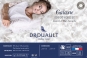 oreiller GALAXIE duvet d'oie - DROUAULT