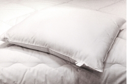Oreiller Soie et Polyester - COUETTE ET NATURE