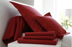 taie d'oreiller 50 x 73 COTON PERCALE UNIE (fin de série)
