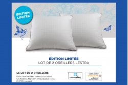 lot de 2 oreillers FJORD MICRODUV® mi-ferme