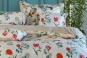 linge de lit CHERRY PIP star white - PIP STUDIO